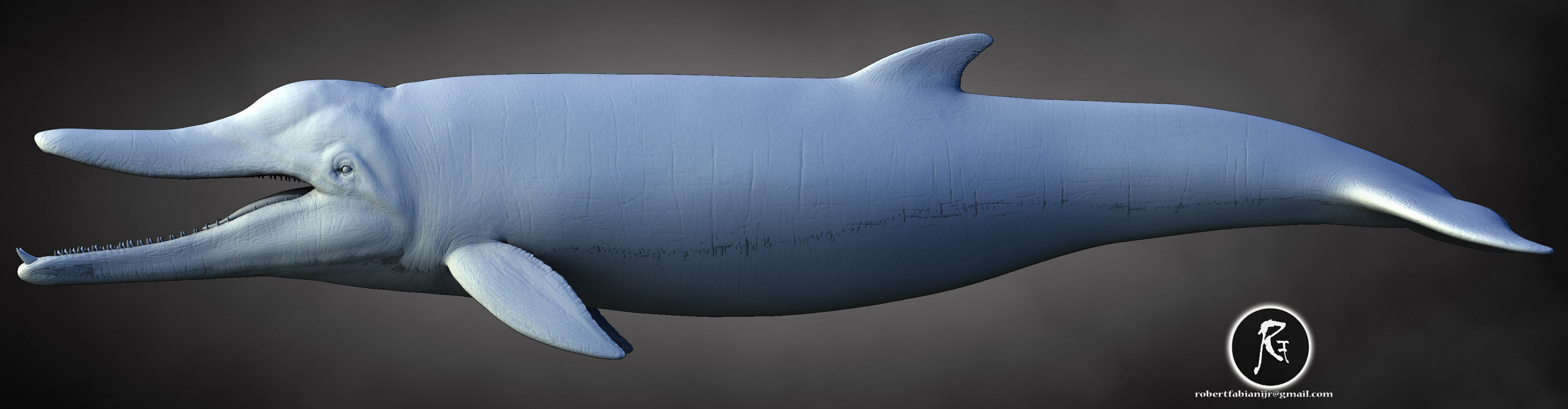 Messapicetus The Ancient Toothed Whale of the Miocene 3D print model_2
