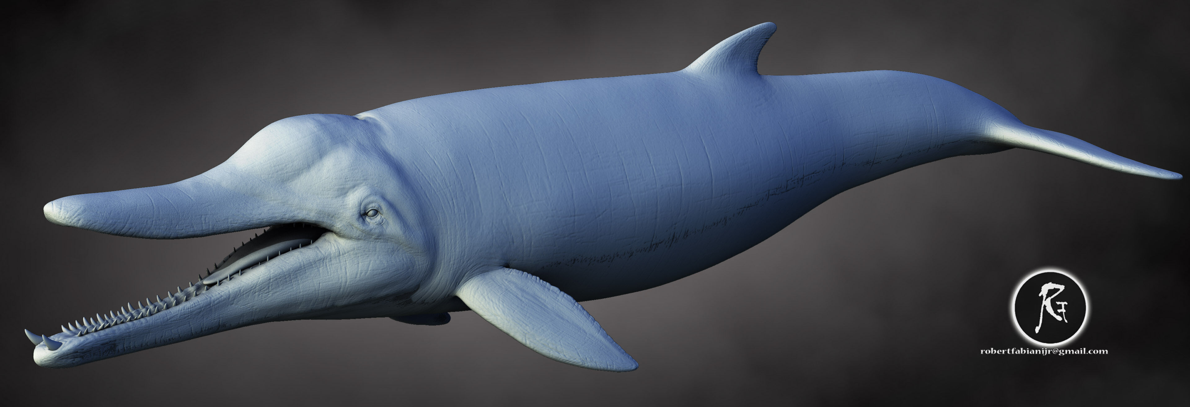 Messapicetus The Ancient Toothed Whale of the Miocene 3D print model_1