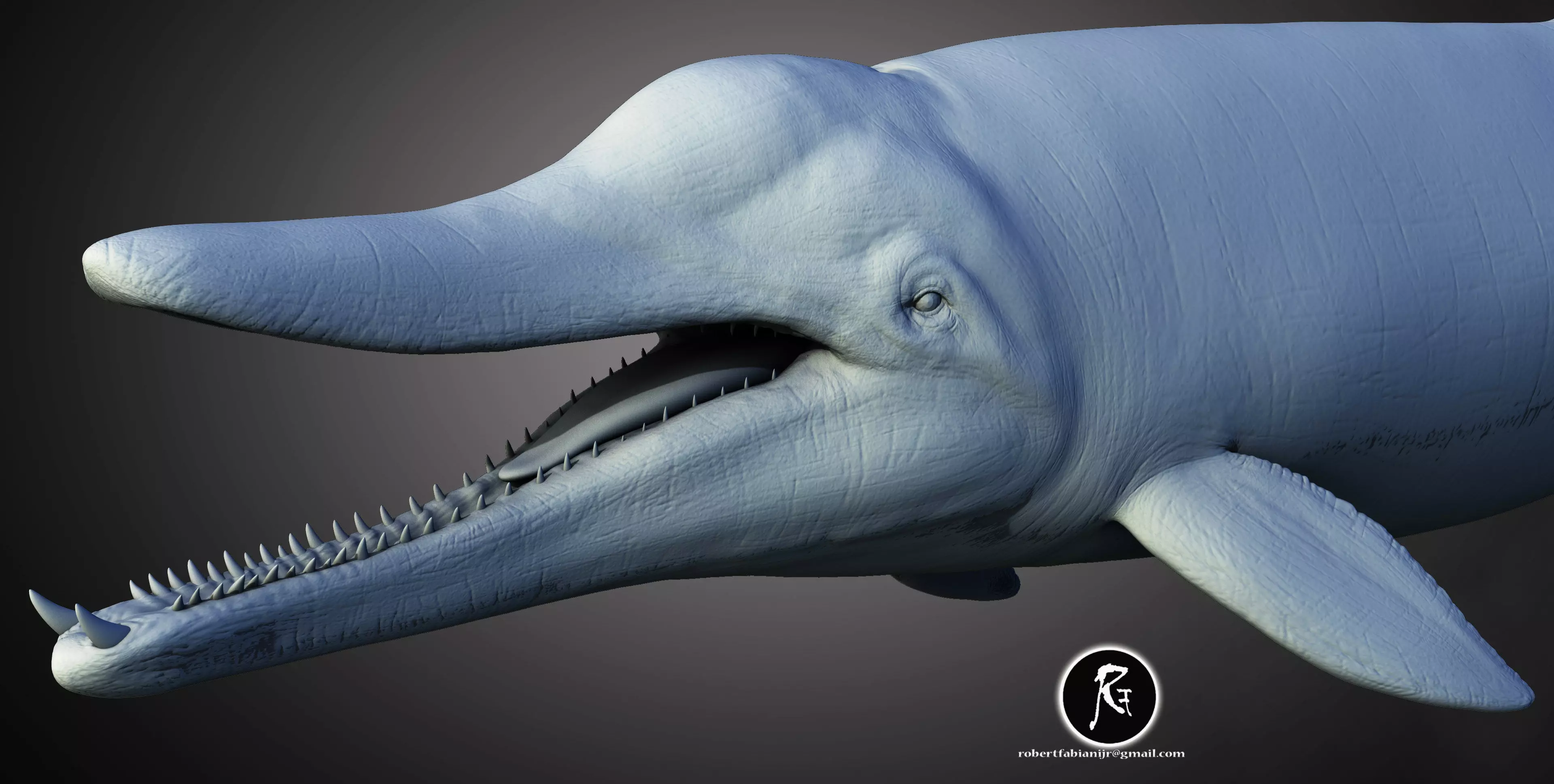Messapicetus The Ancient Toothed Whale of the Miocene 3D print model_0