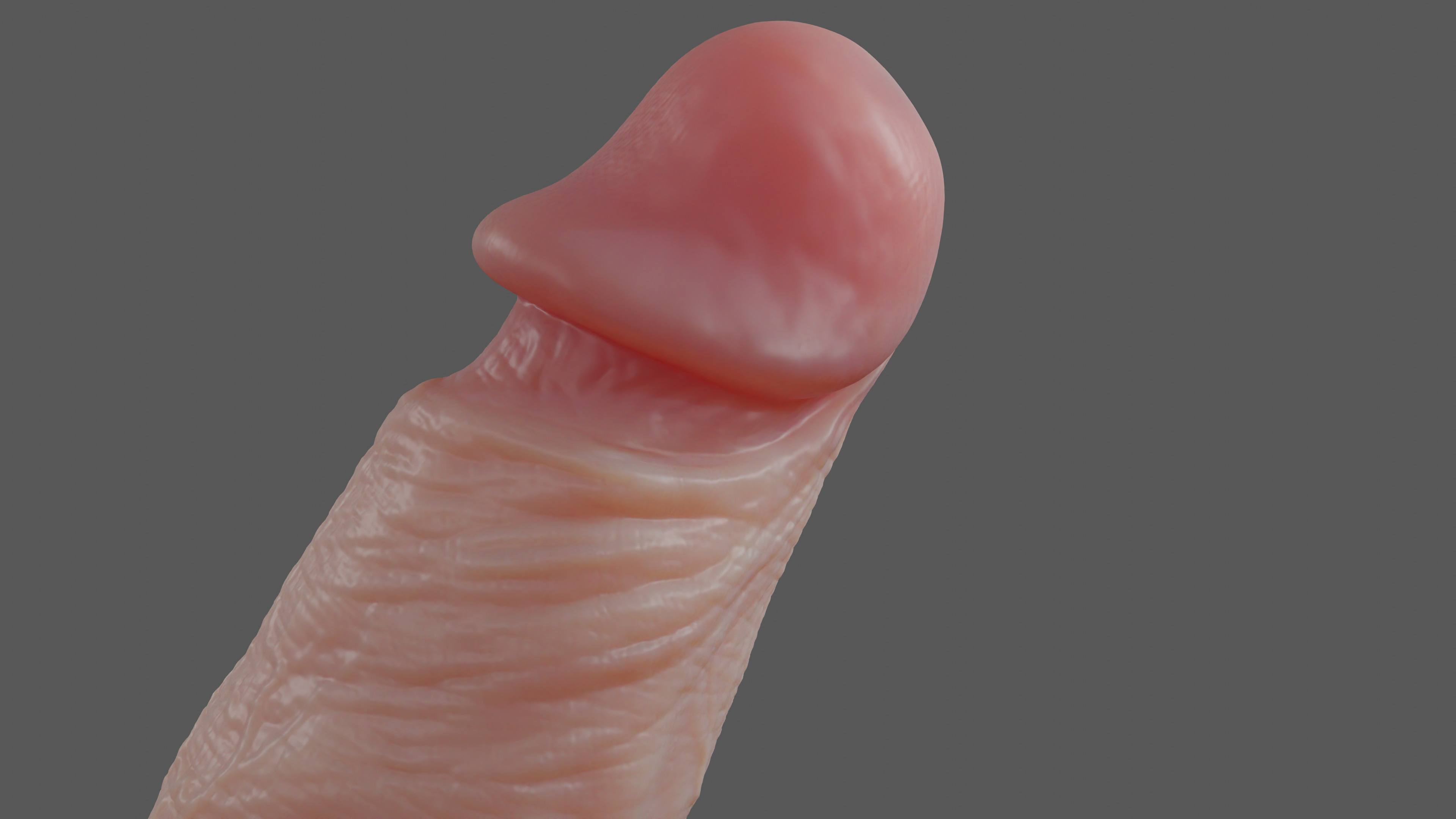 Stylized Penis Rigged Lowpoly and Highpoly Low-poly 3D model_3