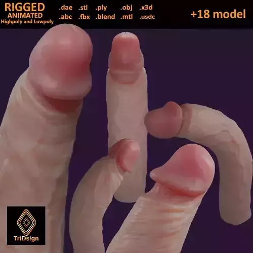 Stylized Penis Rigged Lowpoly and Highpoly