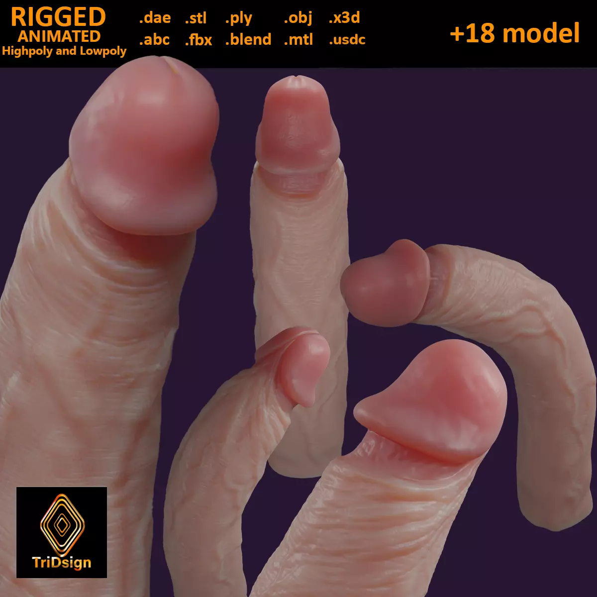 Stylized Penis Rigged Lowpoly and Highpoly Low-poly 3D model_0
