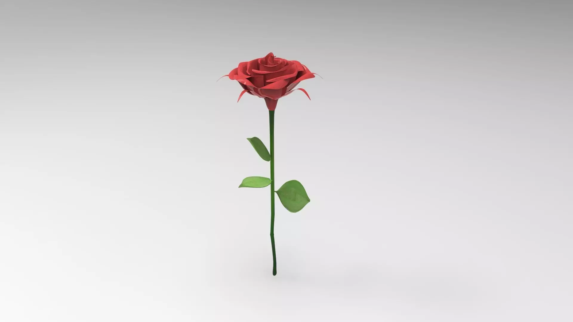 Red Rose Free 3D model