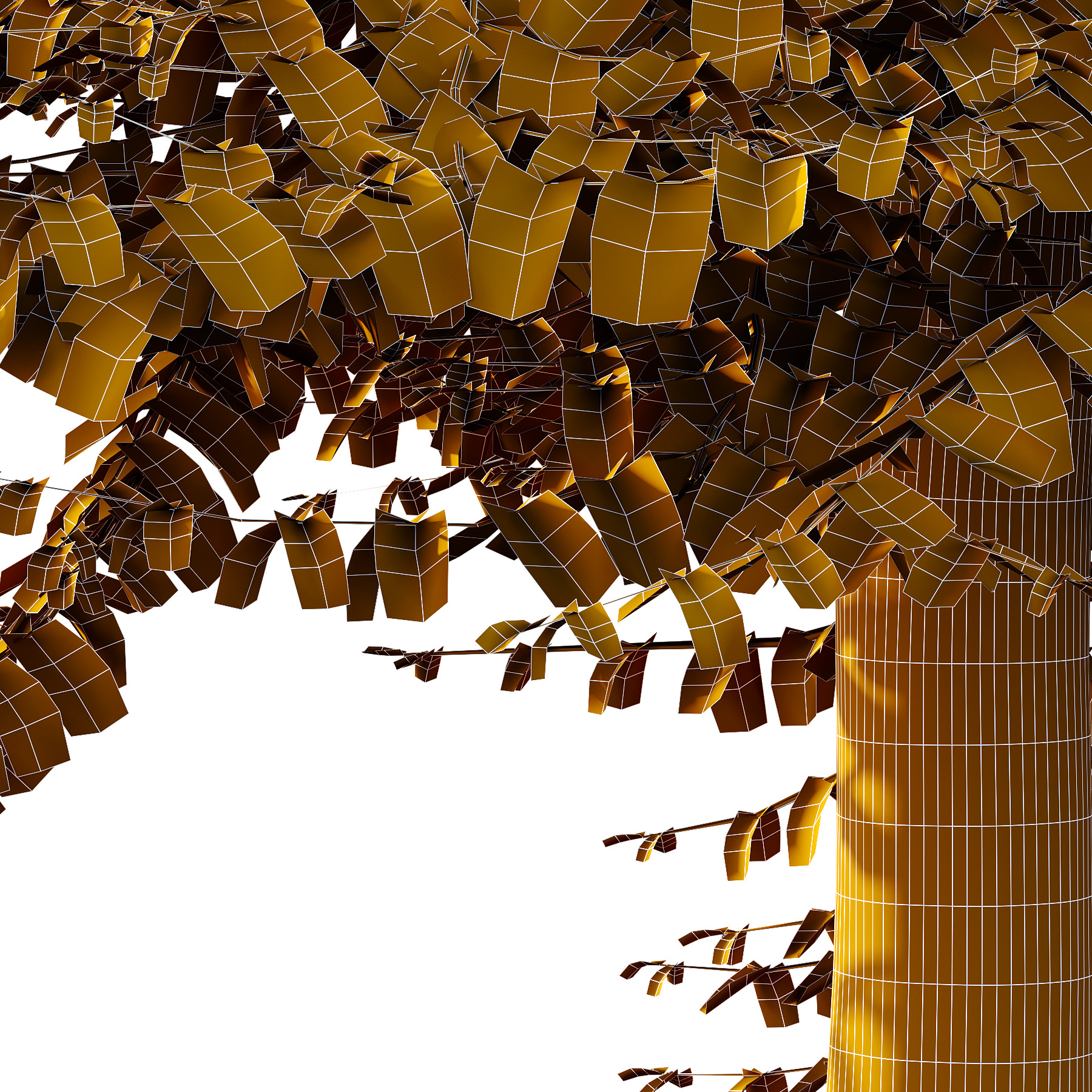 Fagus Grandifolia Tree 10 3D model_4