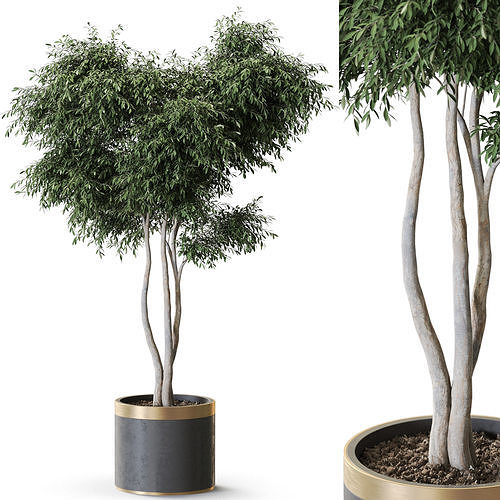 Plant 1270 3D model