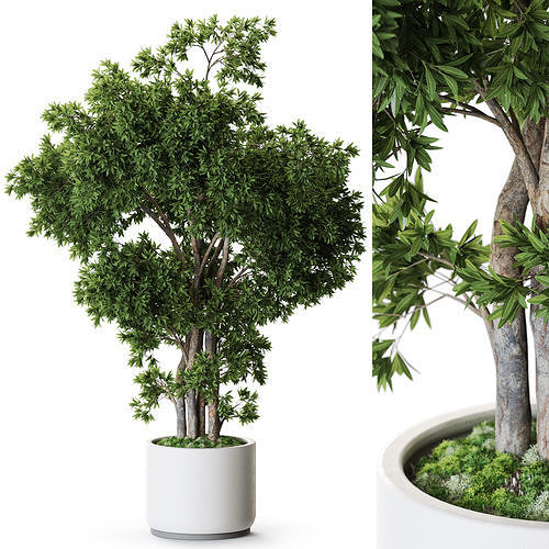 Plant 1273 3D model