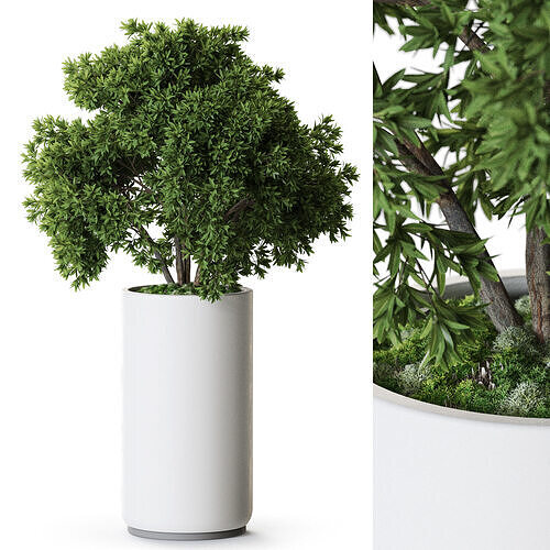 Plant 1274 3D model