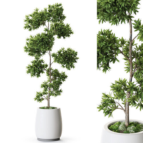 Plant 1275 3D model