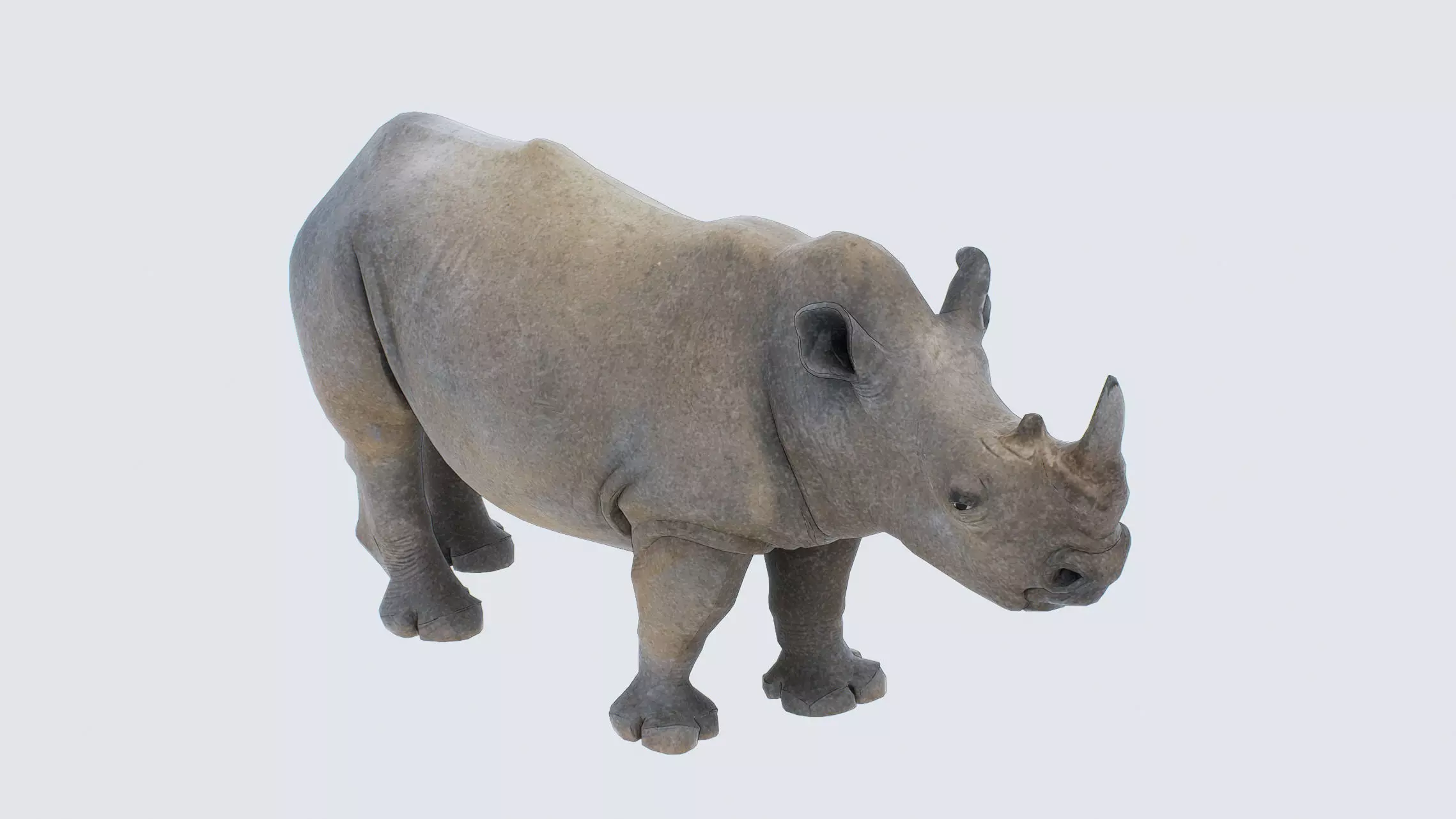 Rhinoceros Low-poly 3D model