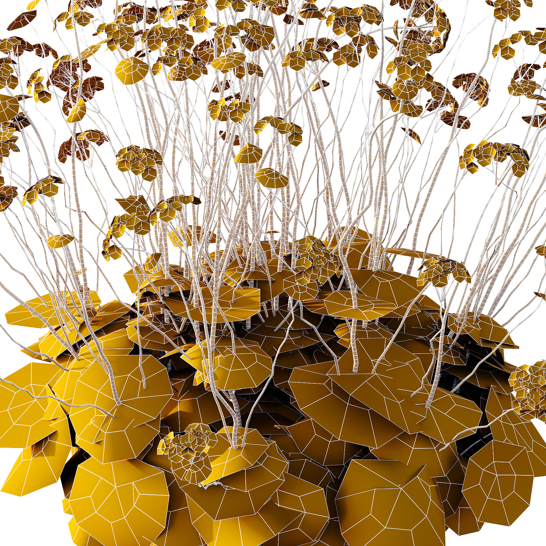 Alchemilla mollis flower Plant 01 3D model_6
