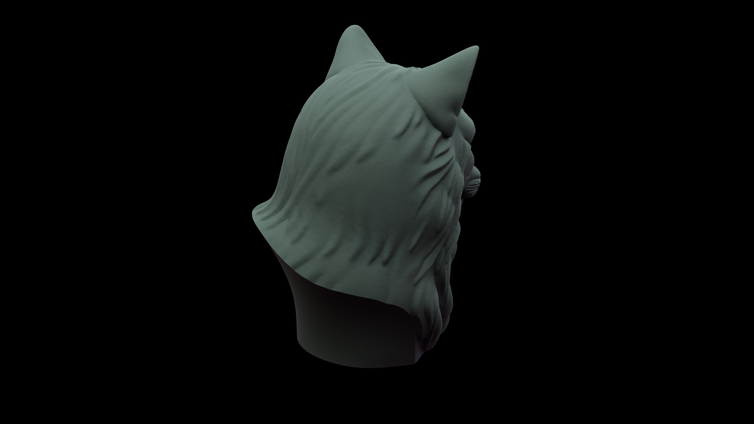 Cat Bust Free 3D print model_11