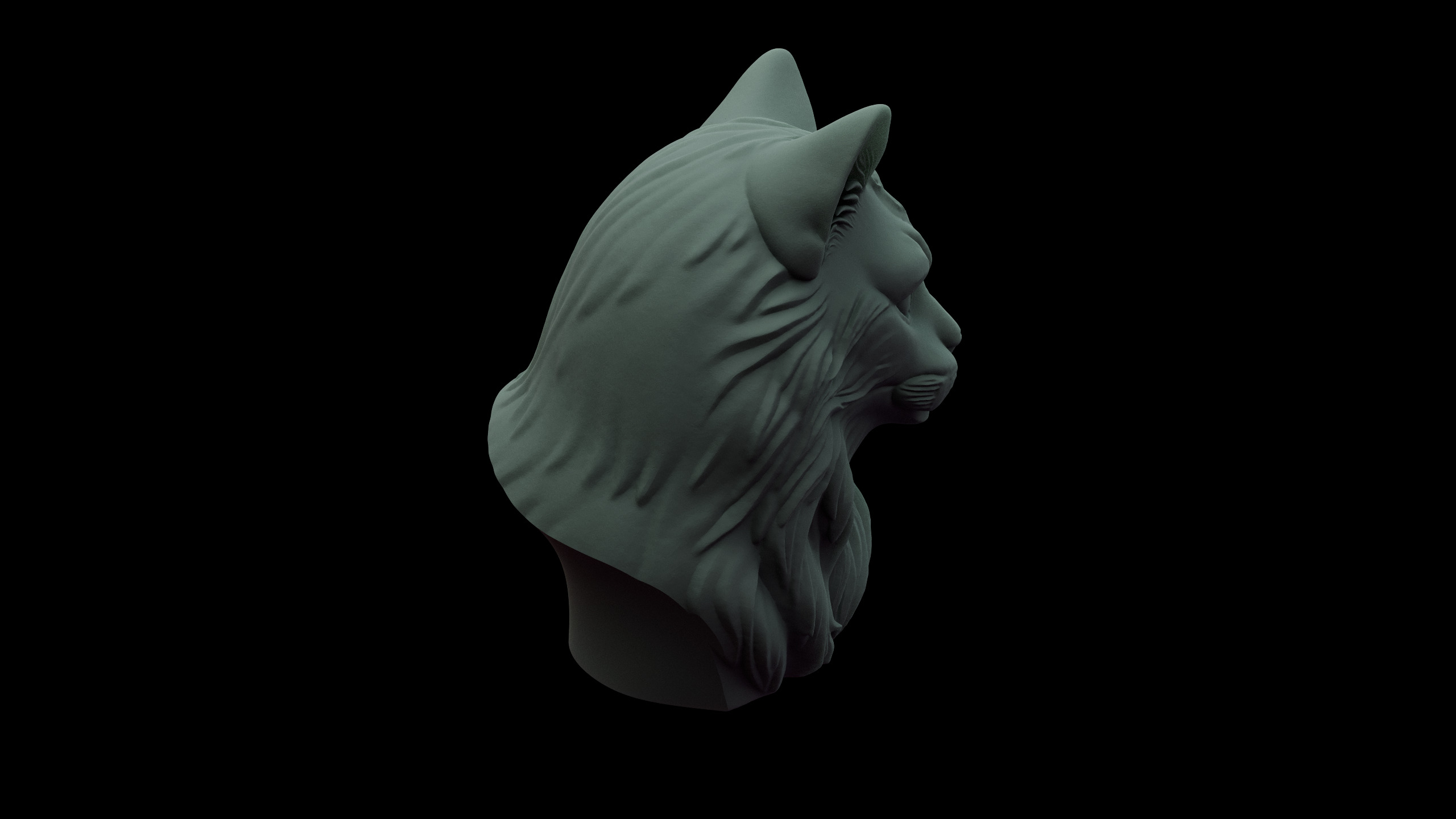 Cat Bust Free 3D print model_12