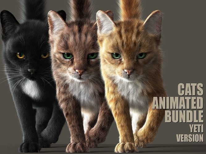 CATS BUNDLE ANIMATED  YETI VERSION 3D Model Collection