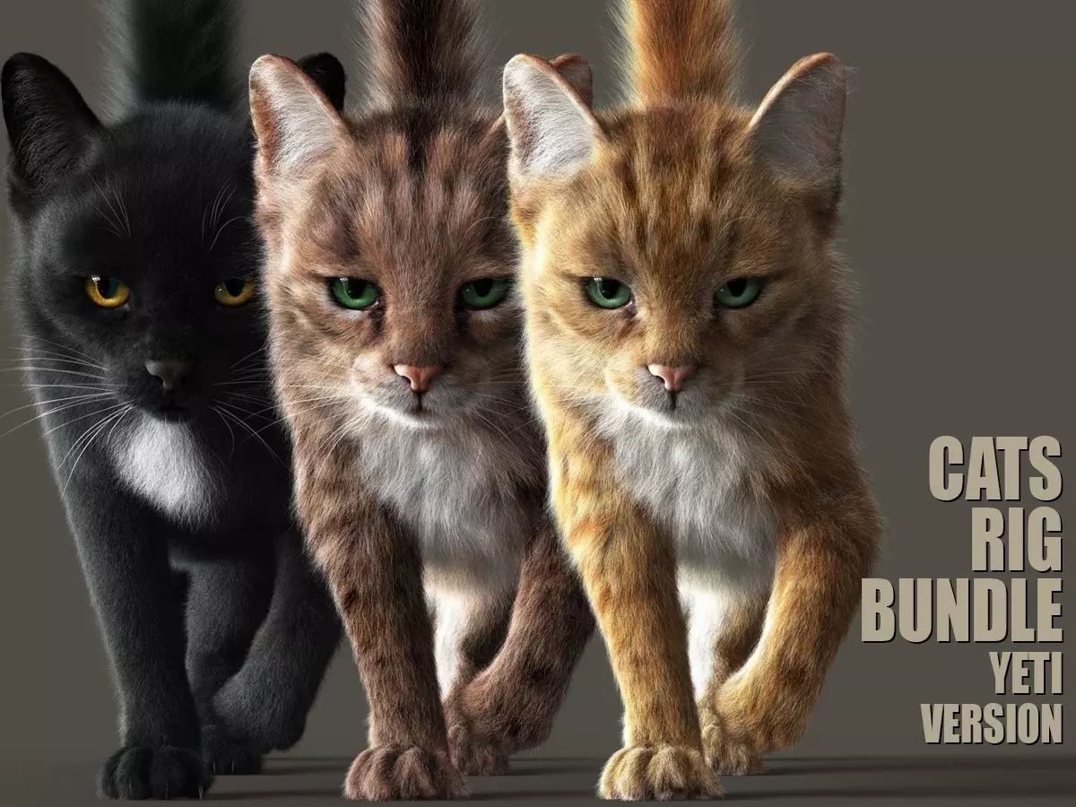 CATS BUNDLE RIG  YETI VERSION 3D Model Collection_0