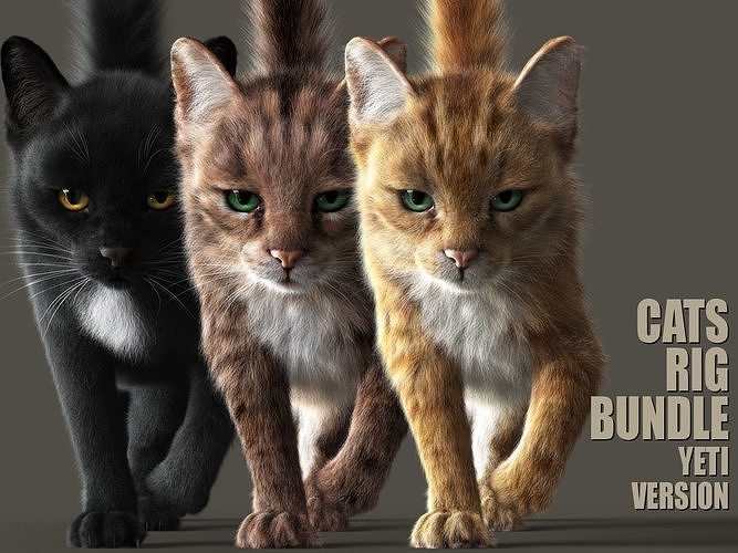 CATS BUNDLE RIG  YETI VERSION 3D Model Collection