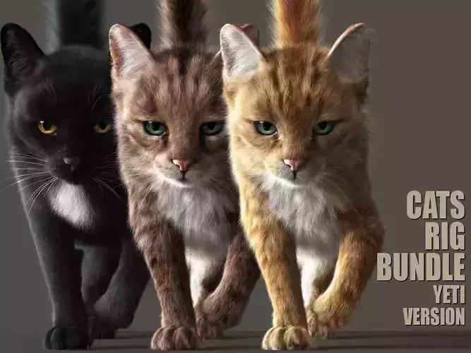 CATS BUNDLE RIG  YETI VERSION 3D Model Collection