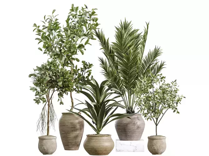 AV Indoor Plants Set 258 Olive Eucalyptus Palm Dracaena Briful
