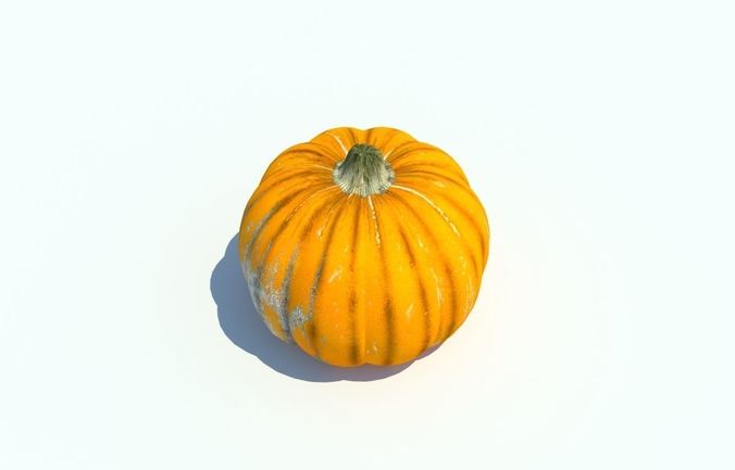 pumpkin 3D model