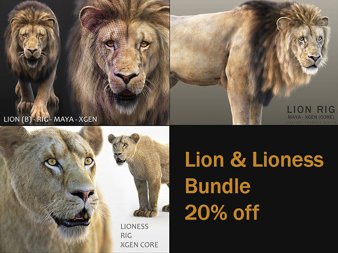 Lion and Lioness RIG XGEN CORE Bundle 3D Model Collection