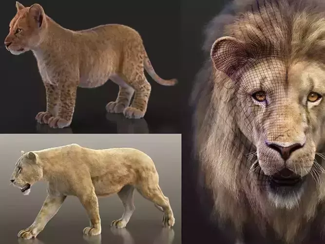 Lions RIG XGEN CORE Bundle 3D Model Collection