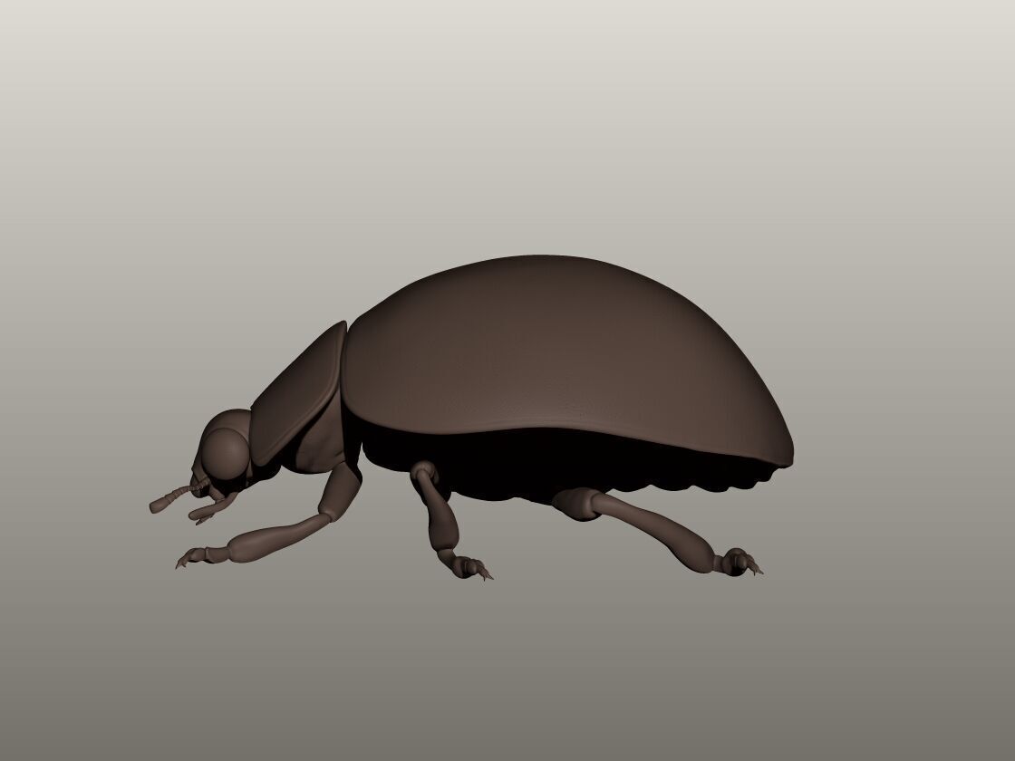 Ladybug 3D Model 3D print model_2