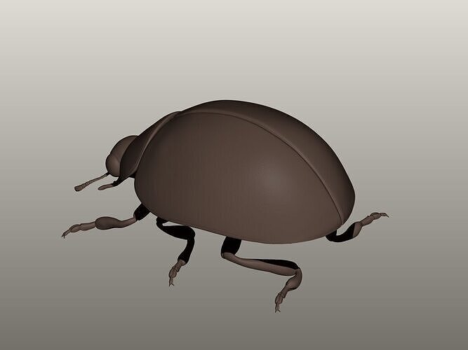 Ladybug 3D Model 3D print model