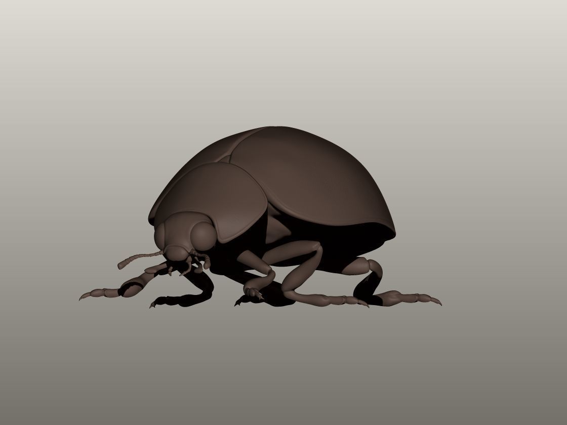 Ladybug 3D Model 3D print model_1