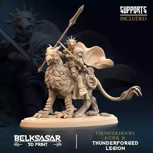 Thudnerhoofs Rider B