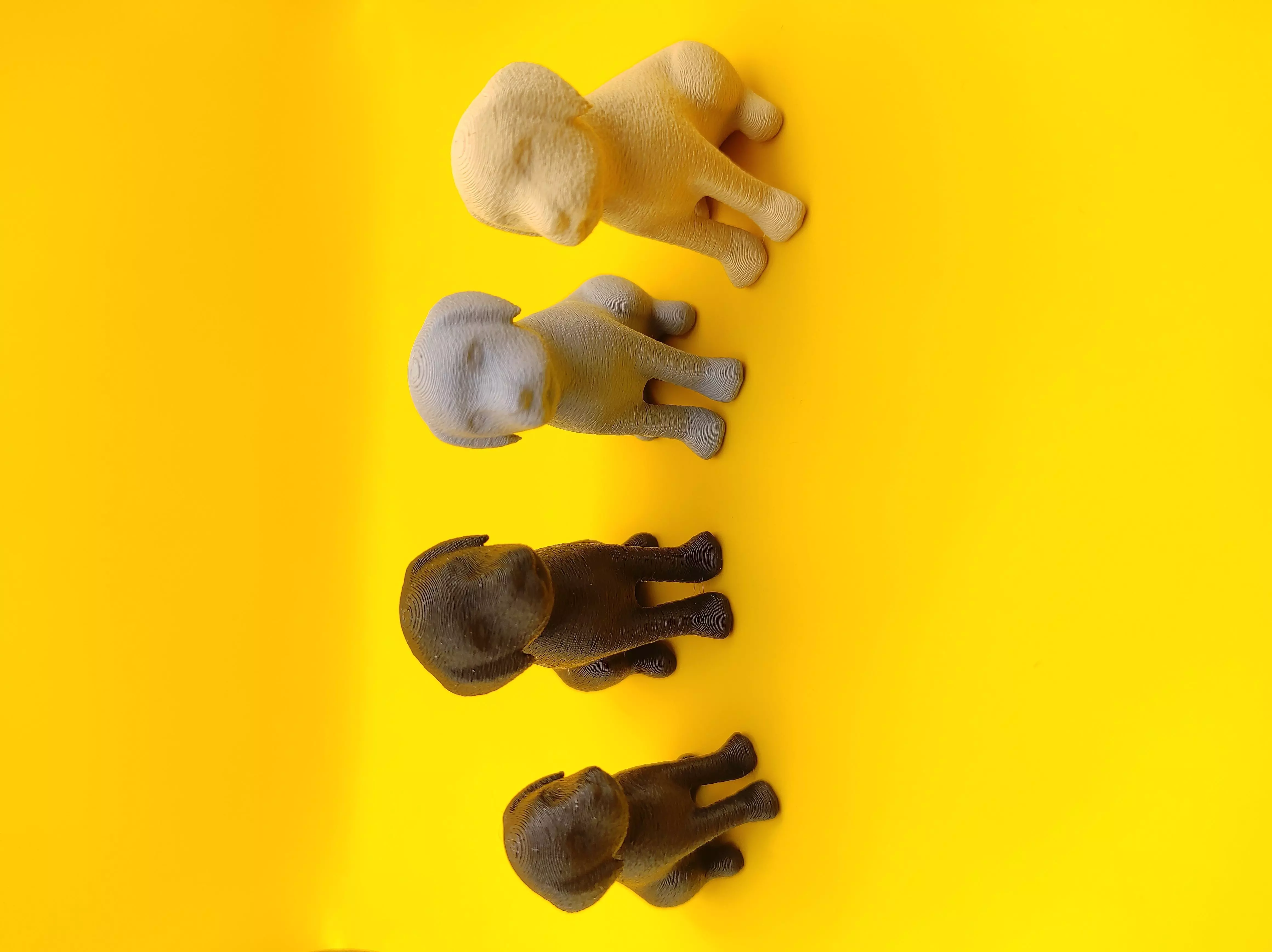 Baby Labrador Sitting 3D print model