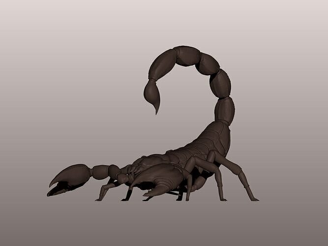 Scorpion 3D Model 3D print model