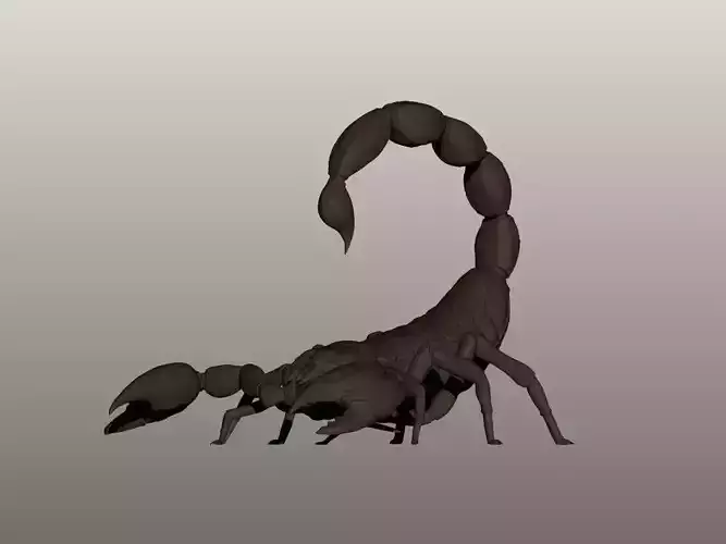 Scorpion 3D Model