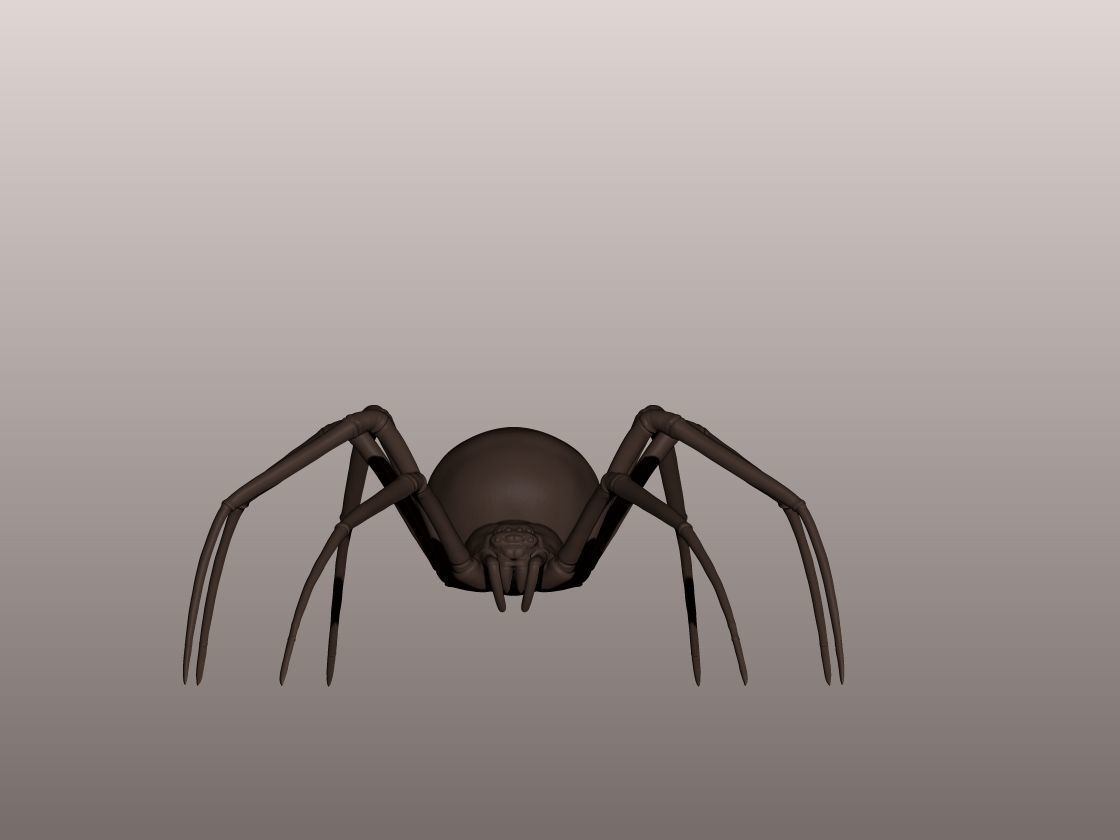 Spider 3D Mode 3D print model_3