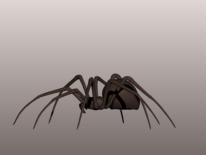 Spider 3D Mode 3D print model
