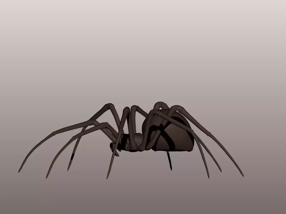 Spider 3D Mode 3D print model_0
