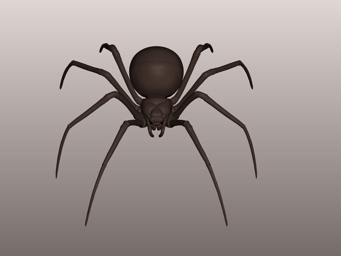 Spider 3D Mode 3D print model_2