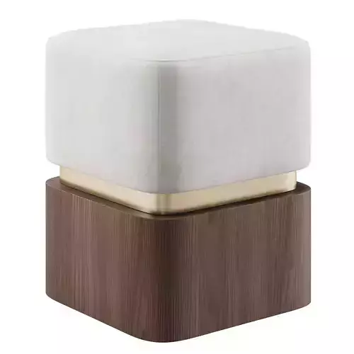 Liz II Pouf By Salma Furniture  3D model