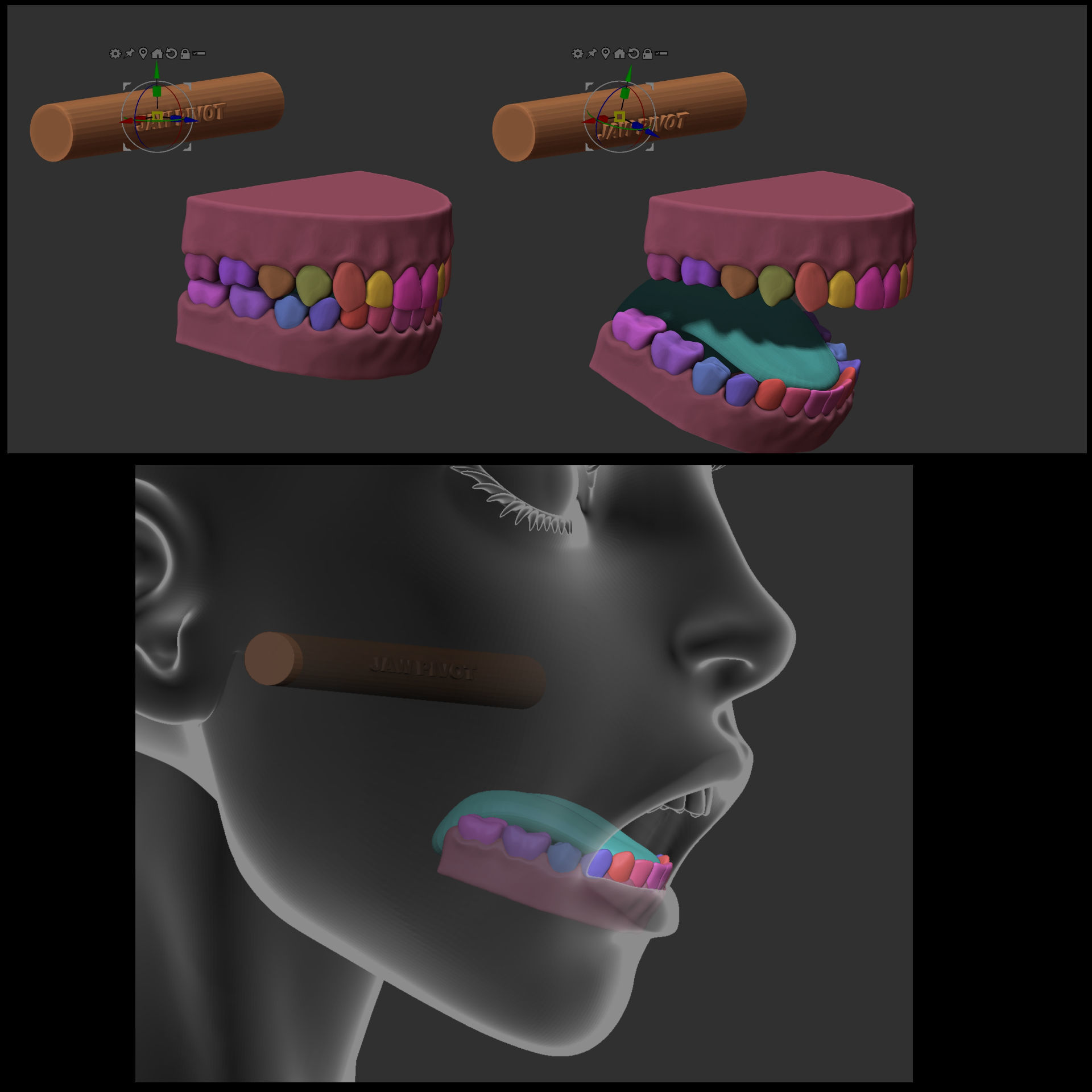 Female Basemesh for ZBrush 3D model_6