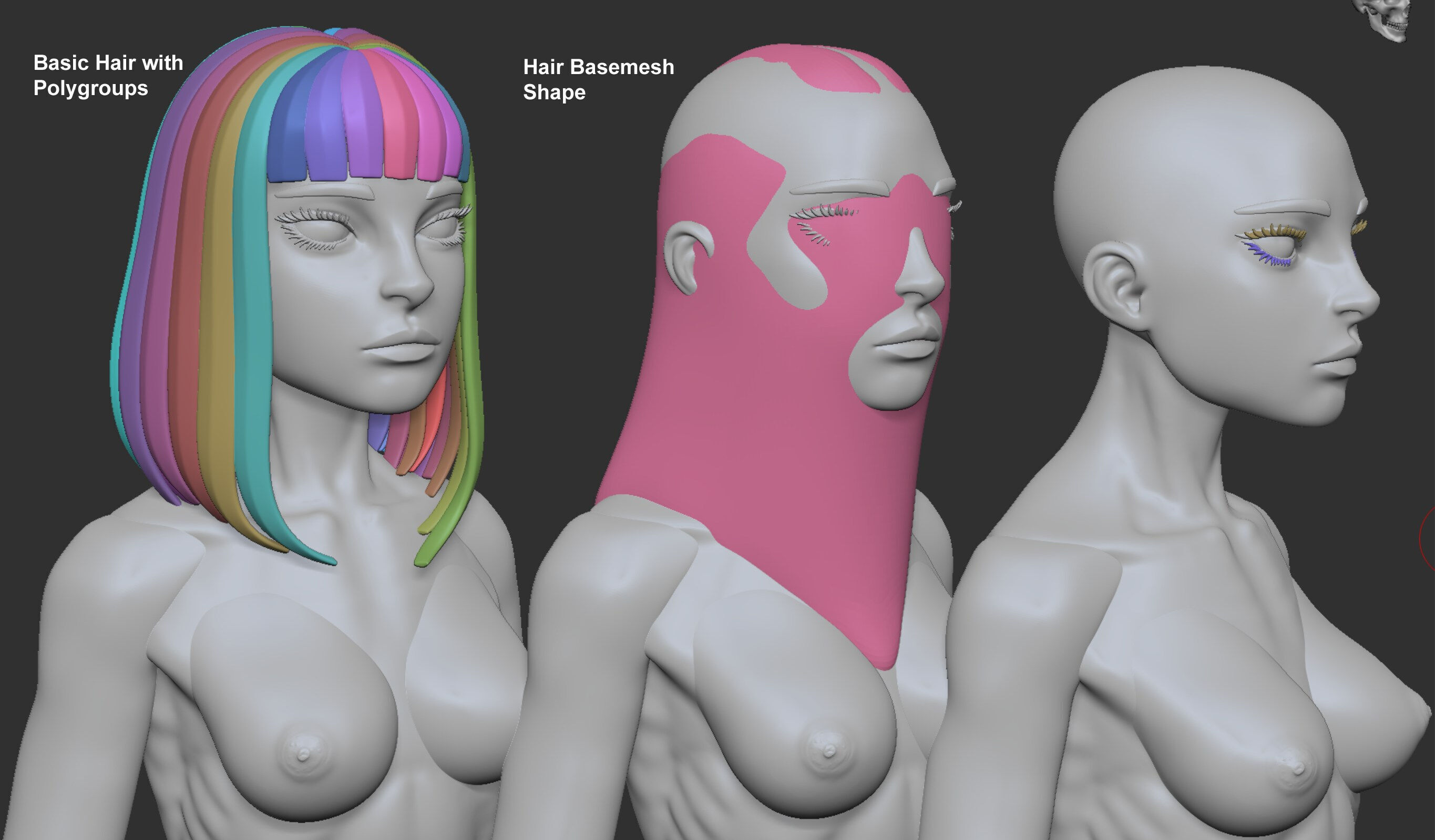 Female Basemesh for ZBrush 3D model_5