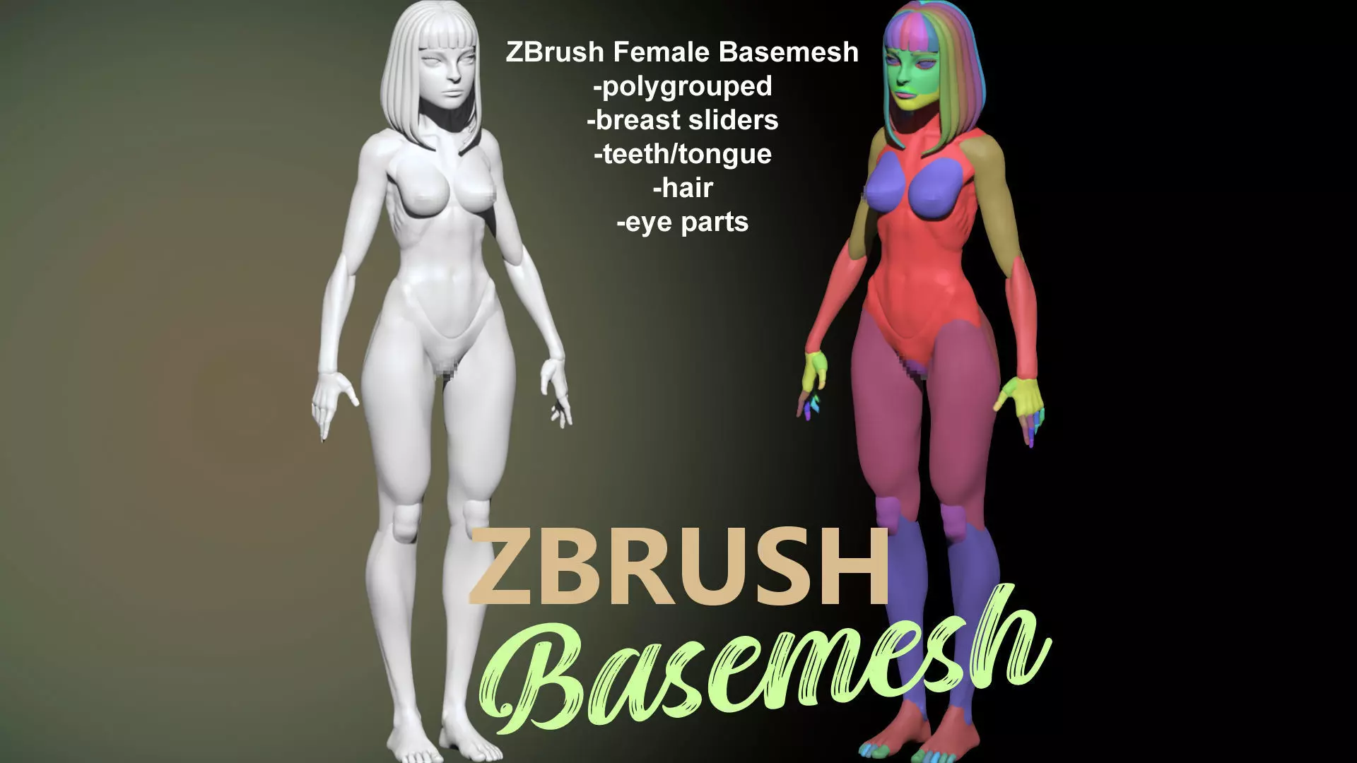 Female Basemesh for ZBrush 3D model_0