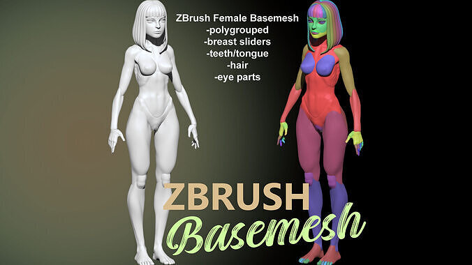 Female Basemesh for ZBrush 3D model