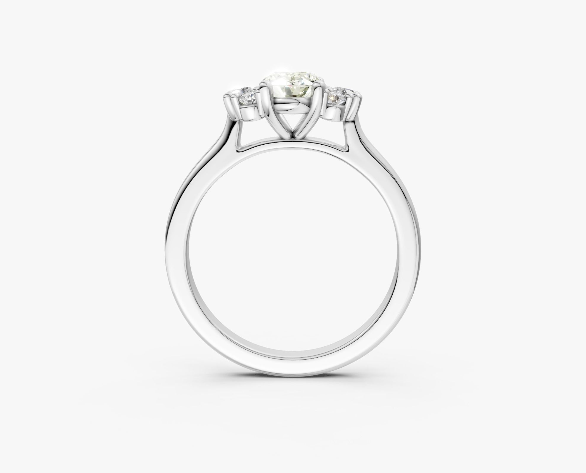 zdr0381 3D print model_3