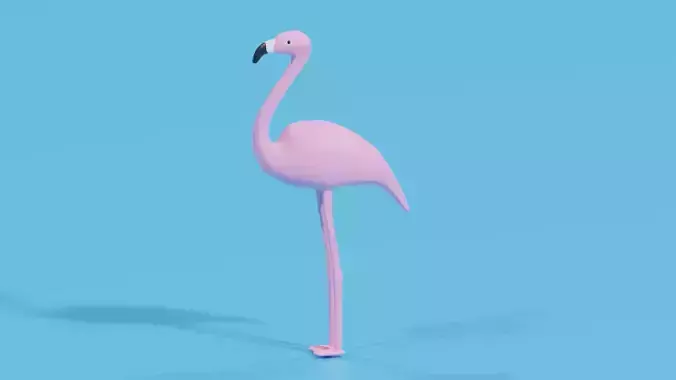 Cartoon Flamingo