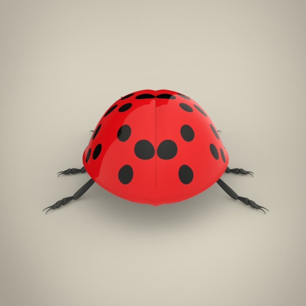 Ladybird ladybug 3D model_5