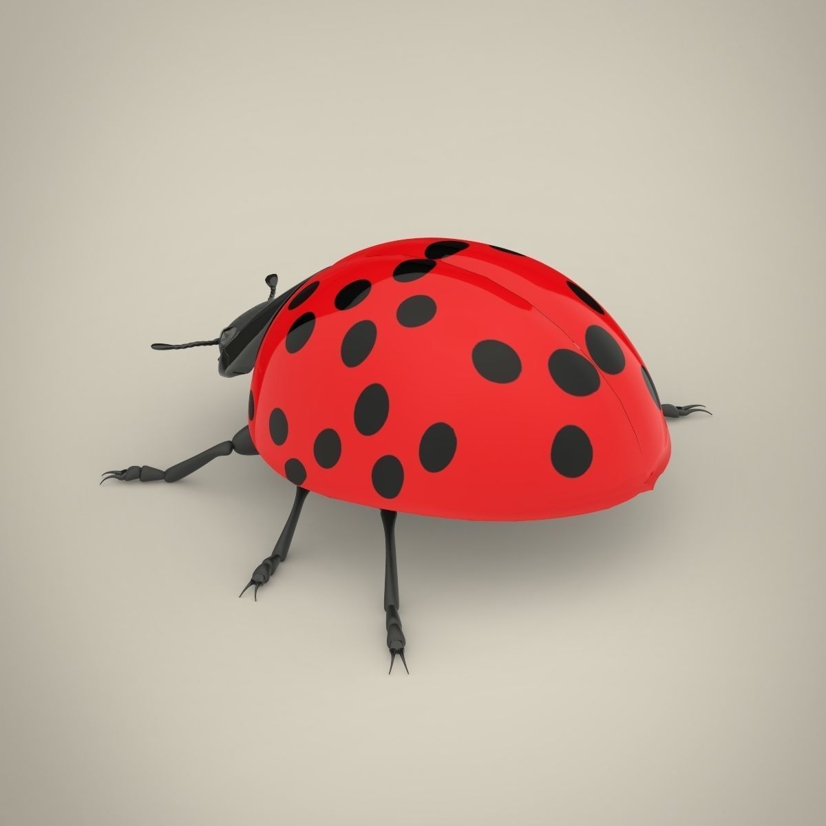 Ladybird ladybug 3D model_3