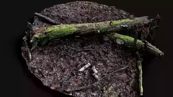 broken tree mossy stump forest ground pt5 PBR photogrammetry
