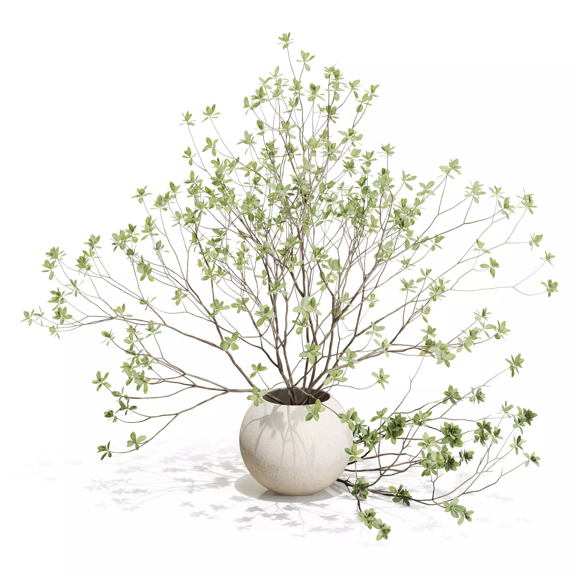 Bouquet 34 3D model_0