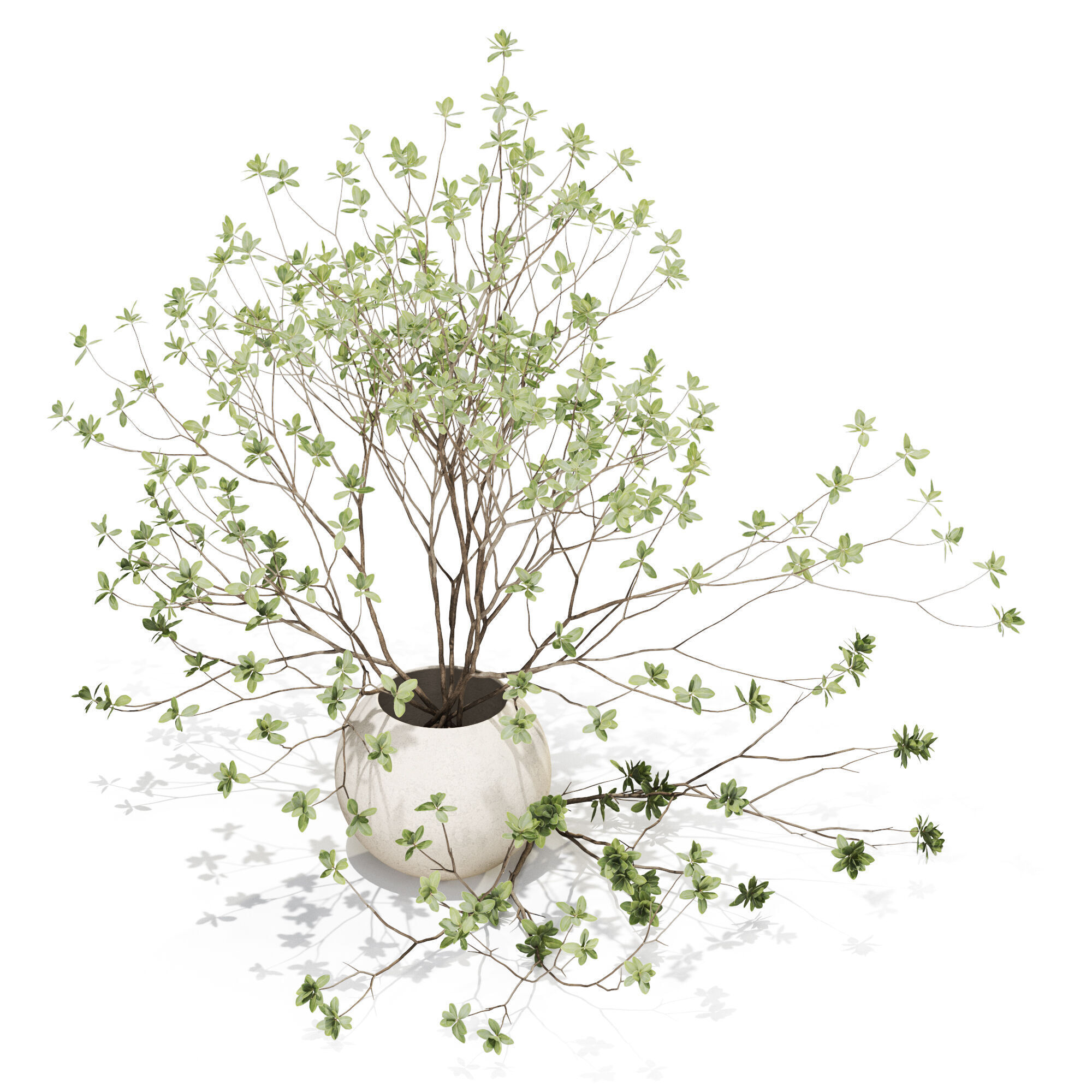 Bouquet 34 3D model_2