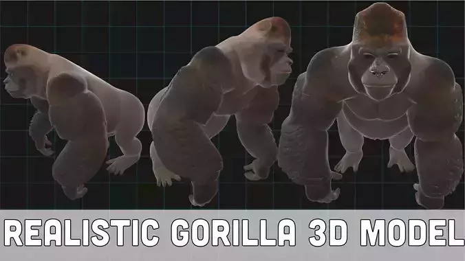 Realistic Gorilla 3D Model