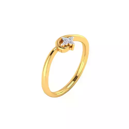 Women Ring Render 3dm STL MTL SLC JCD OBJ FBX Details