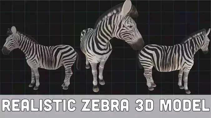 Realistic Zebra African Wildlife Animal